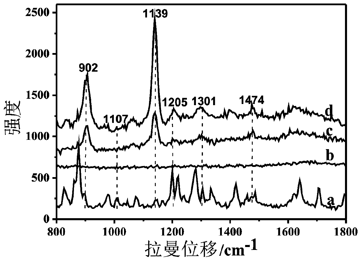 Trace amoxicillin detection method taking Ag@Au as SERS substrate