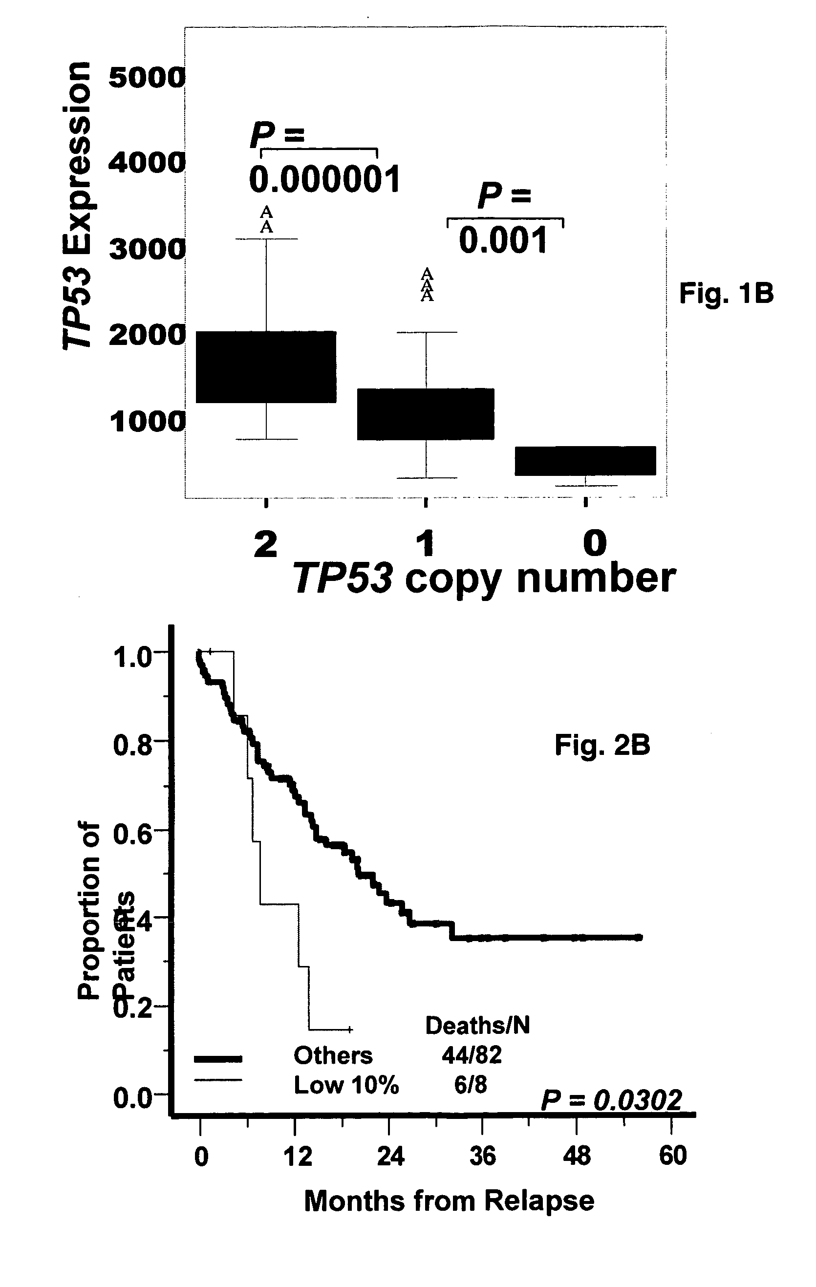 TP53 gene expression and uses thereof