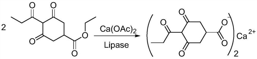 A kind of preparation method of prohexadione calcium