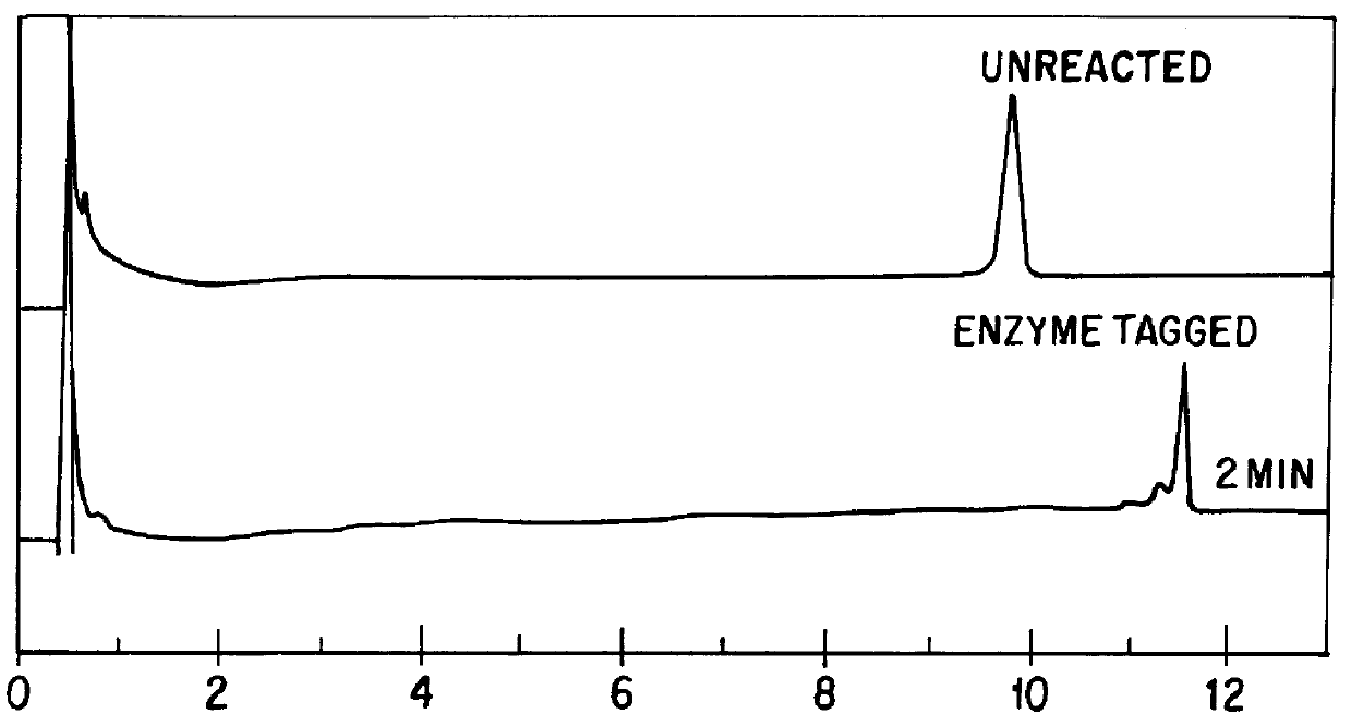 Chromatographic method for mutation detection using mutation site specifically acting enzymes and chemicals