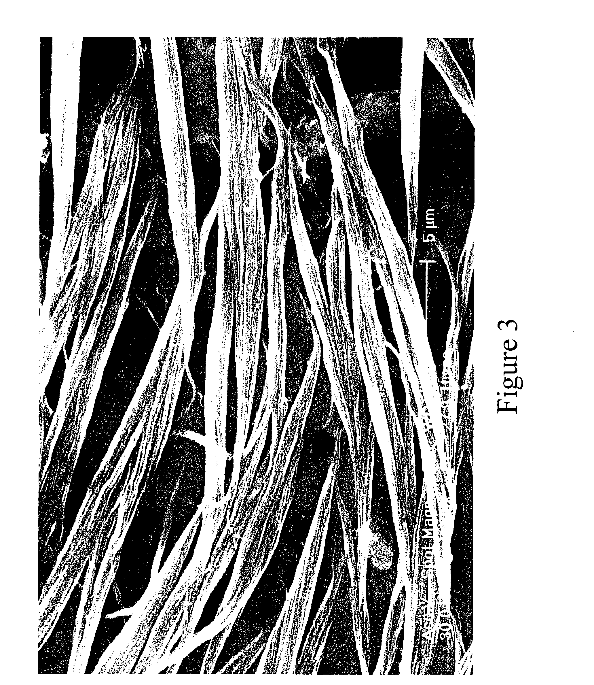 Fibers of aligned single-wall carbon nanotubes and process for making the same