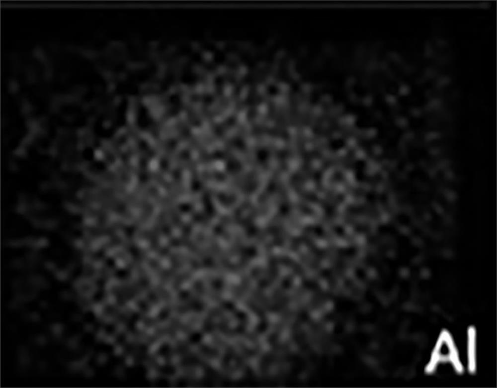 Composite sulfate catalyst for biosaccharide preparation, preparation method and application