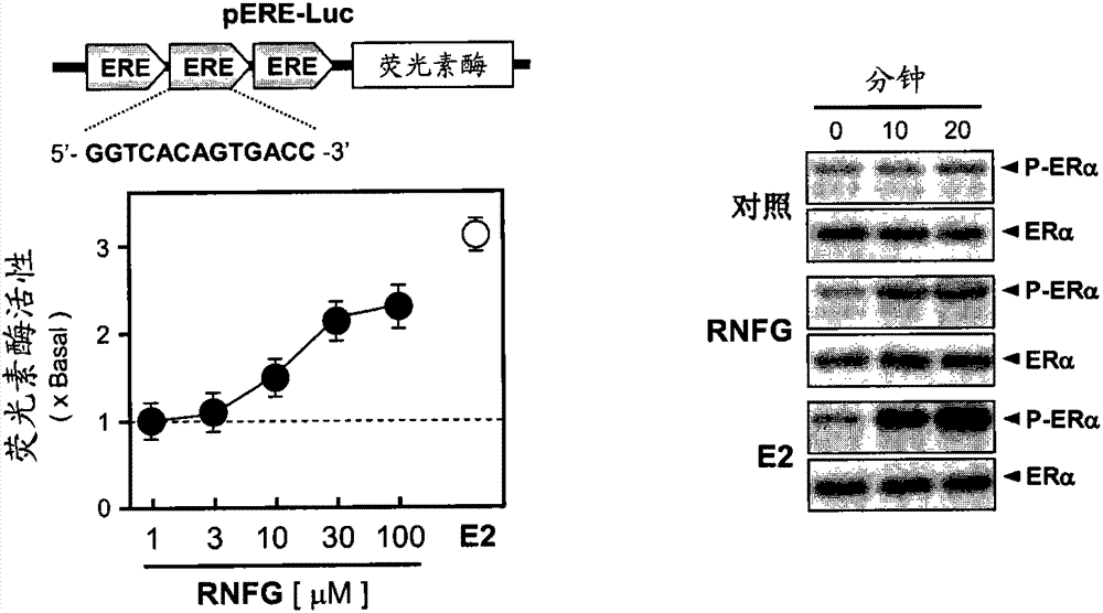 Medicine for preventing and treating alzheimer's disease and preparative method thereof