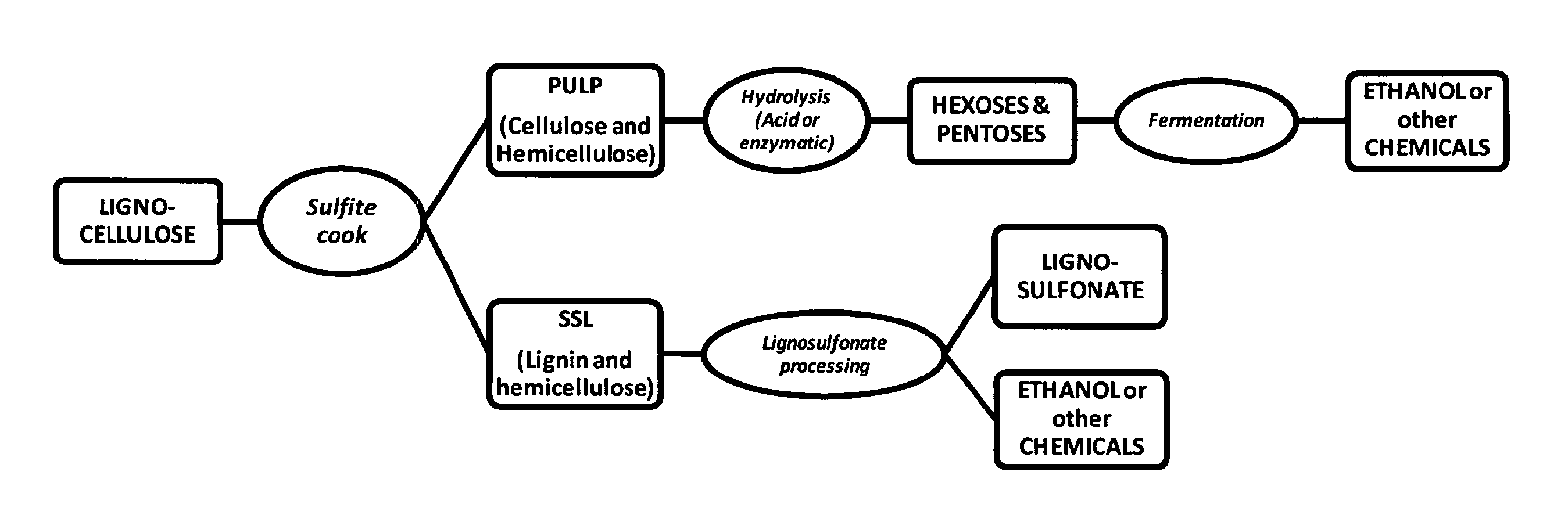 Lignocellulosic biomass conversion