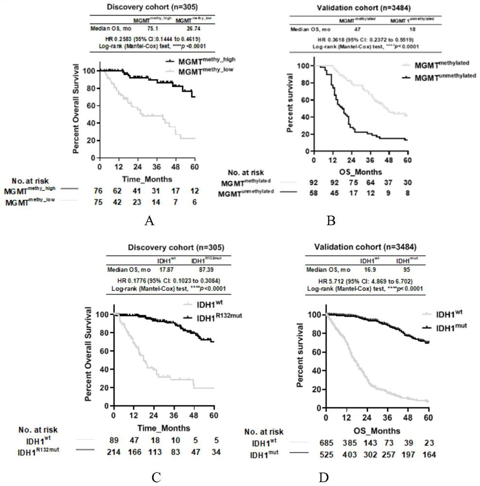 Molecular markers for glioma prognosis typing and typing method and application thereof