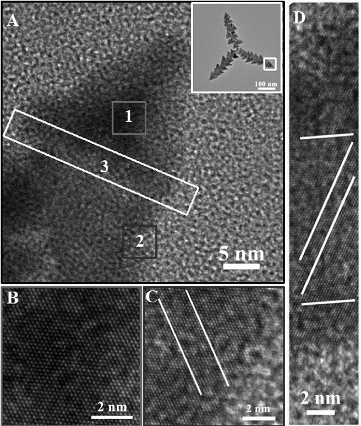 PbS nanomaterial characterized by oriented attachment structure and preparation method thereof