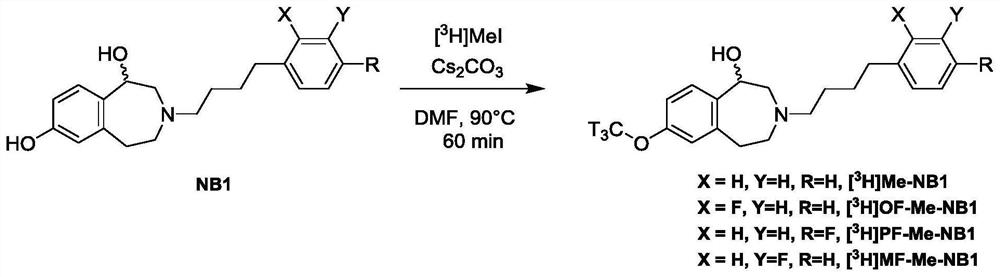 Benzazepin-l,7-diol-derived radiolabeled ligands with high in vivo NMDA specificity