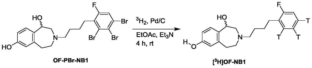 Benzazepin-l,7-diol-derived radiolabeled ligands with high in vivo NMDA specificity