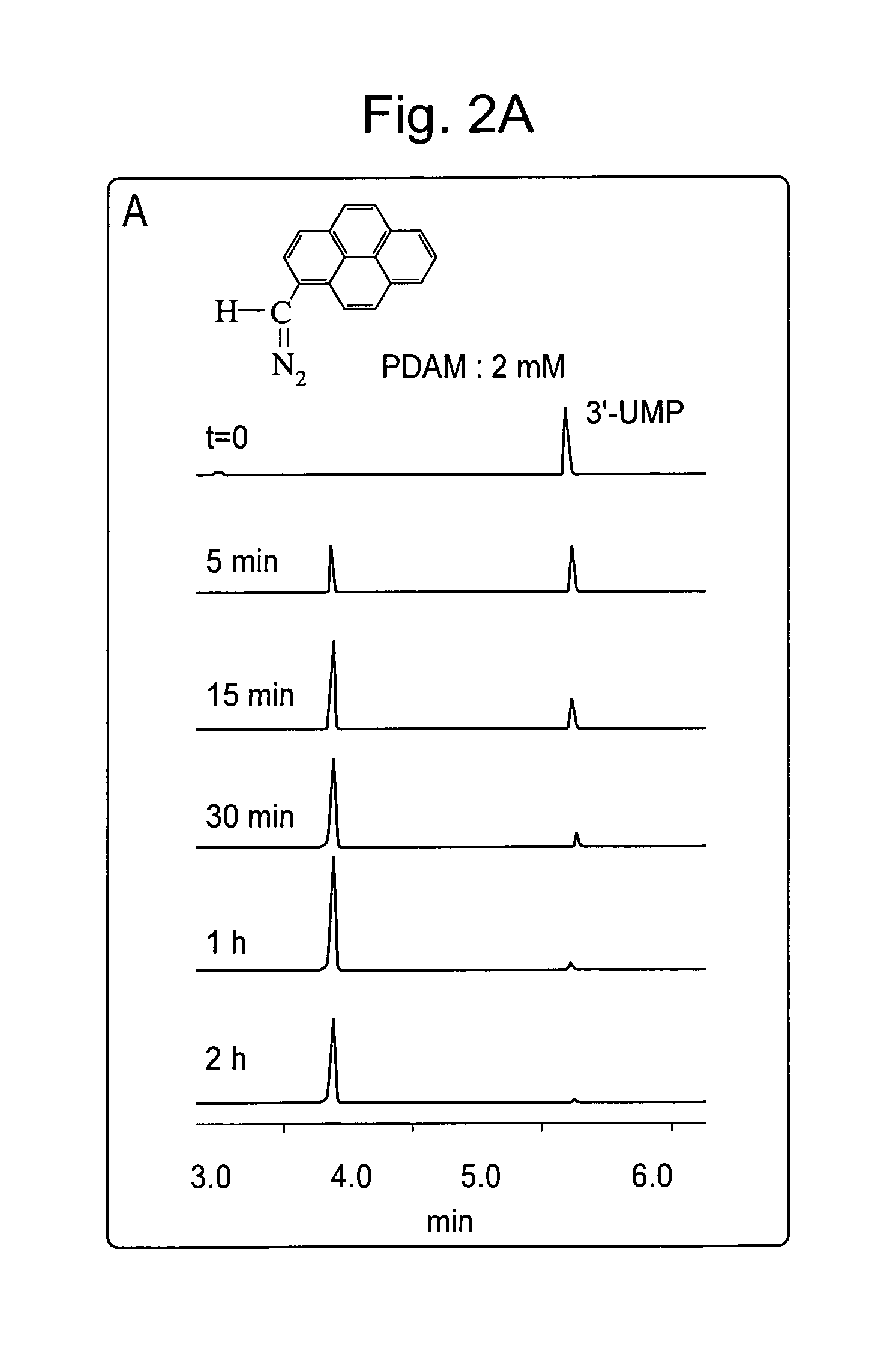 Method for fragmenting and labeling DNA involving abasic sites and phosphate labeling
