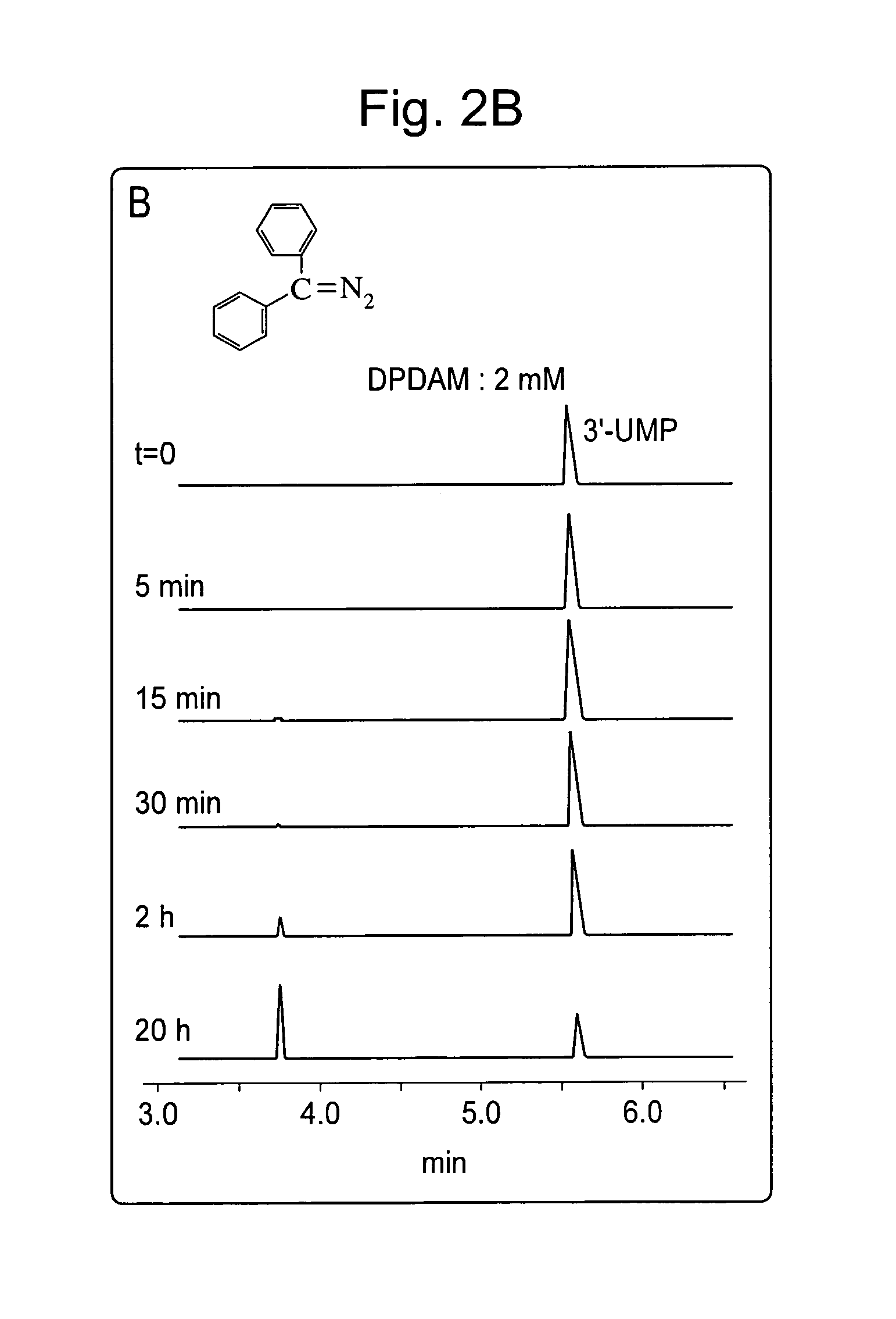 Method for fragmenting and labeling DNA involving abasic sites and phosphate labeling