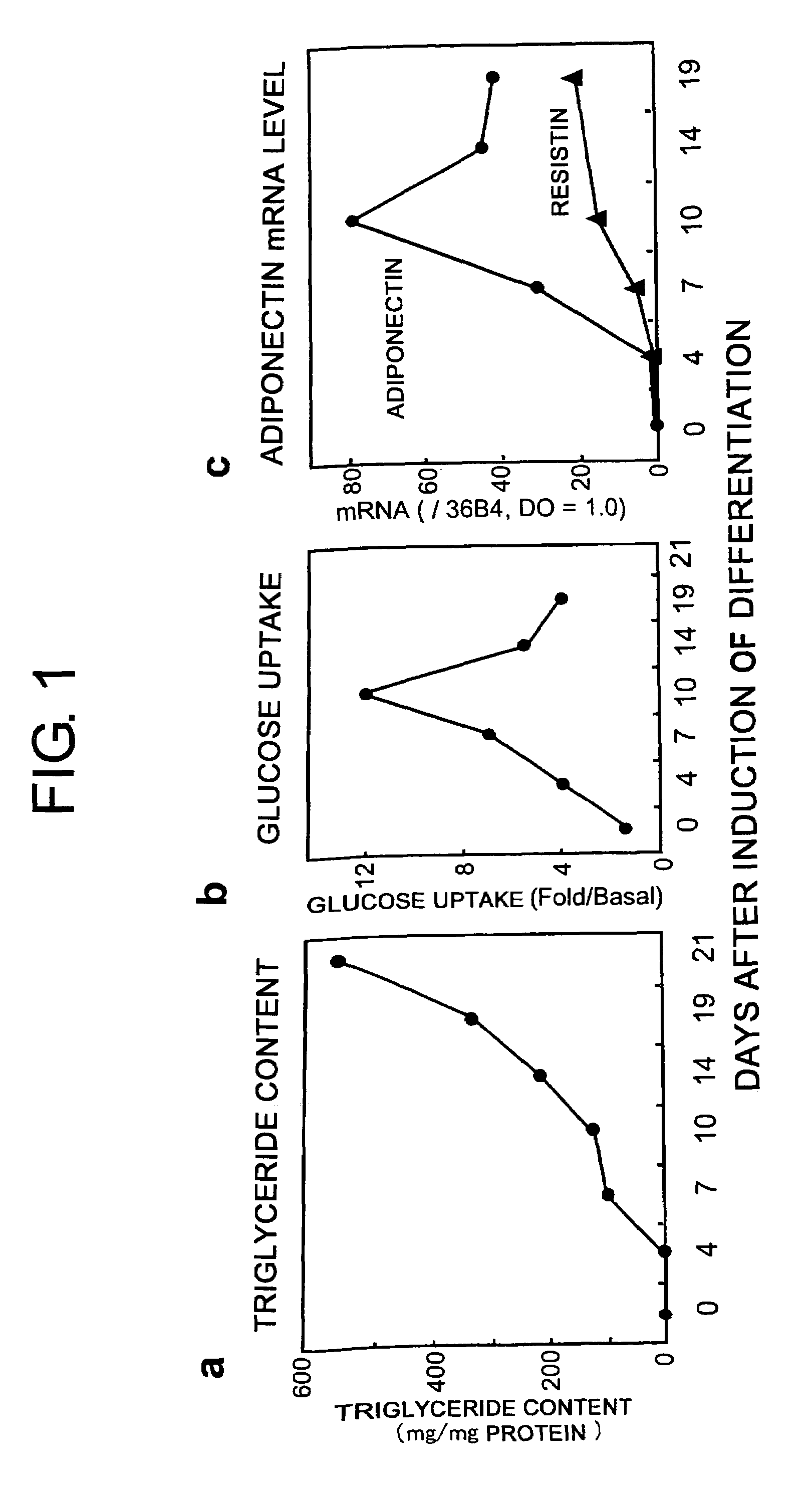 Adiponectin expression-inducing agents and uses thereof