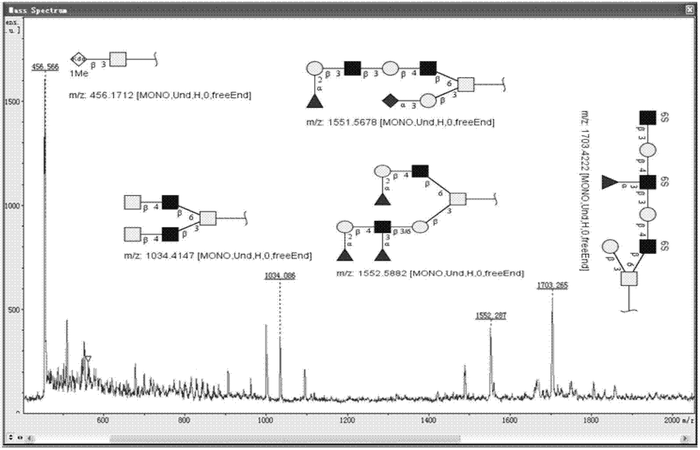 Filter membrane assisted separation and identification method for glycoprotein full O-linked carbohydrate chain in biological sample