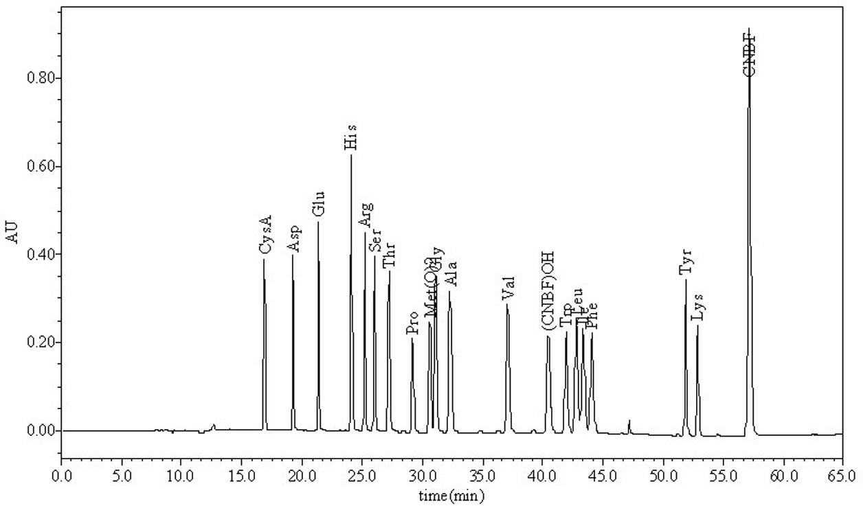 Method for detecting 18 varieties of protein hydrolytic amino acids in milk powder through high-performance liquid chromatographic method