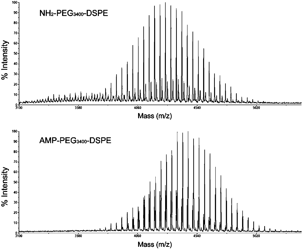 Adenosine monophosphate AMP complex and application thereof in preparation of tumor targeting nano-drug delivery system