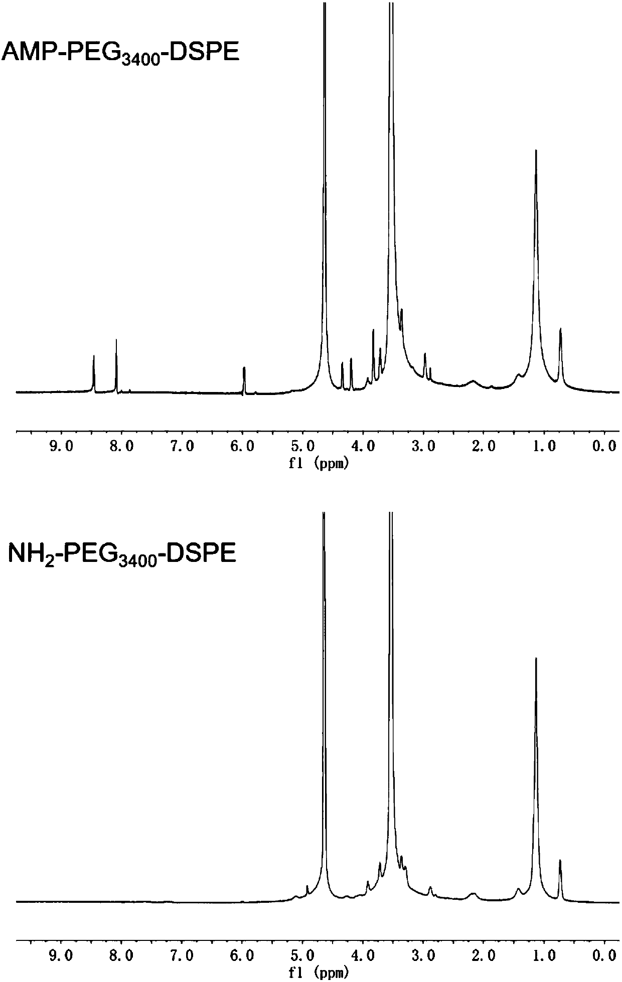 Adenosine monophosphate AMP complex and application thereof in preparation of tumor targeting nano-drug delivery system