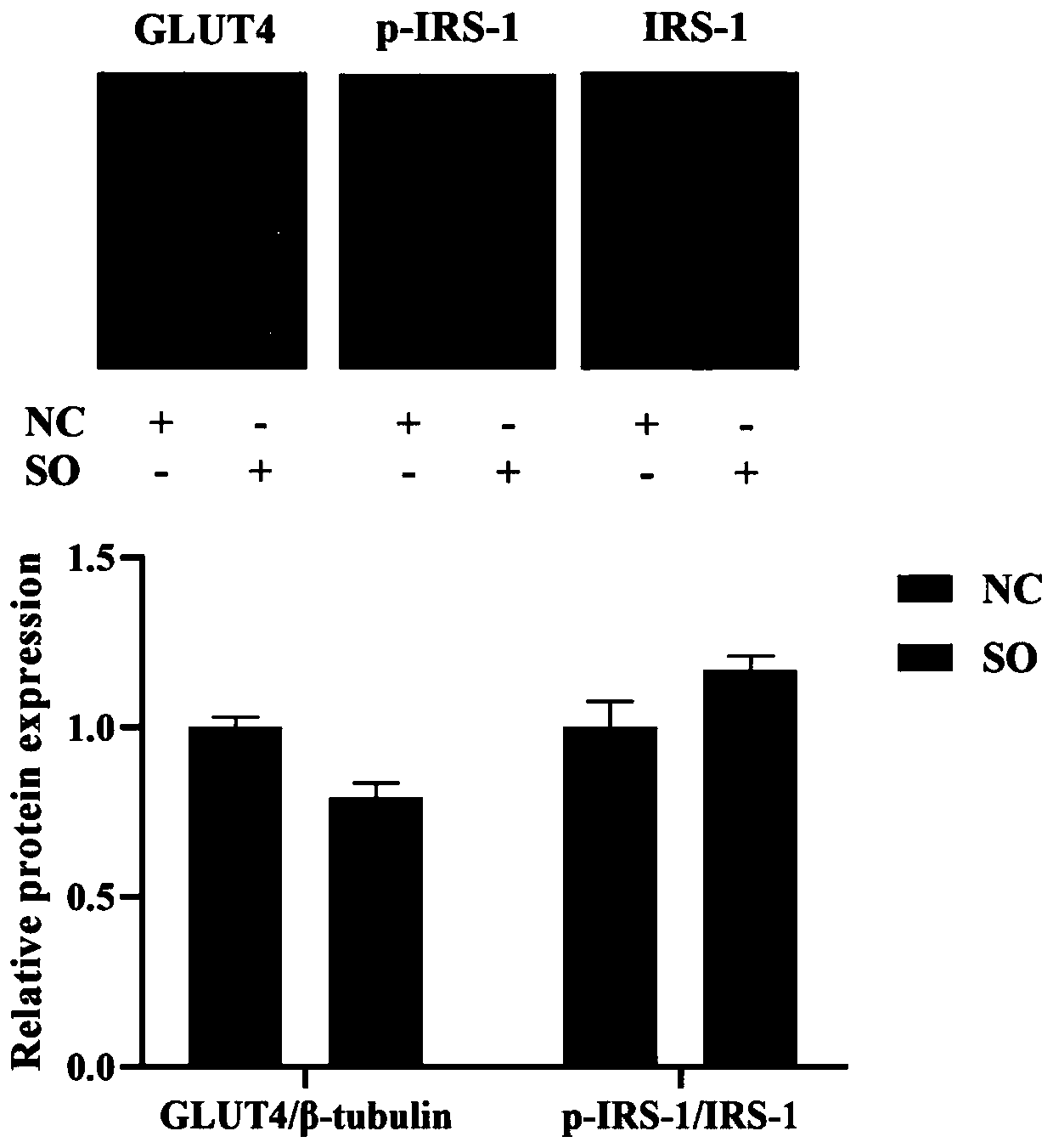 Method for establishing insulin resistance H9c2 cell model by induction of sodium oleate