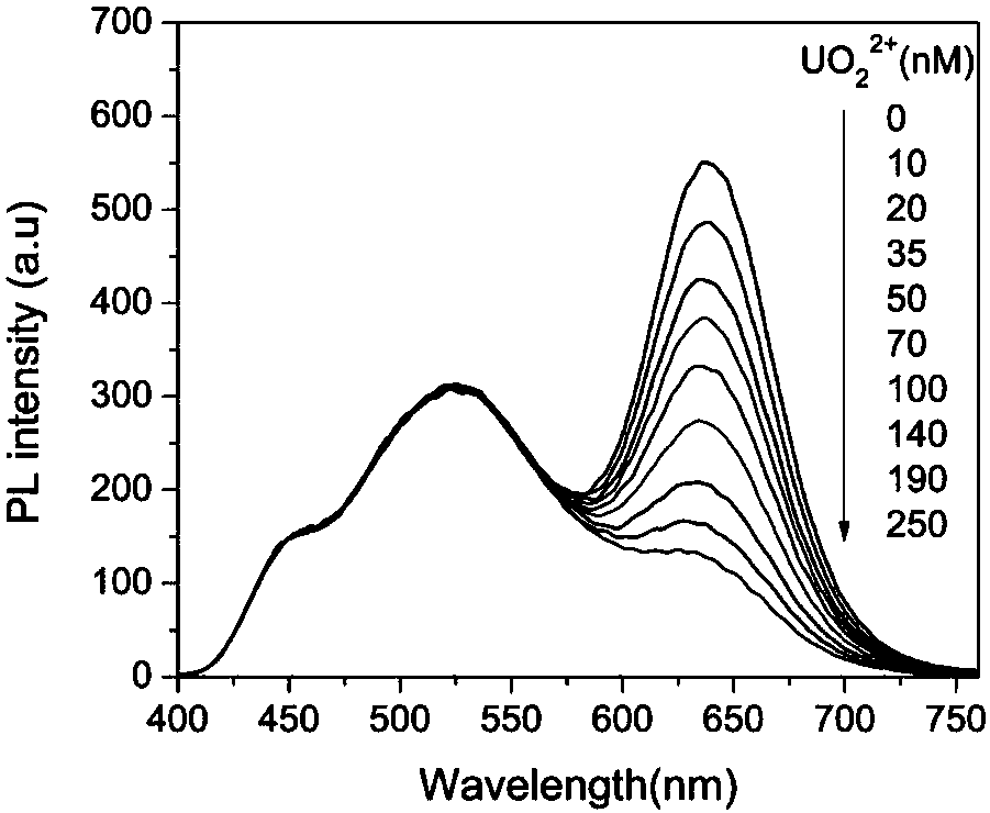Double-channel fluorescent uranyl ion probe and application thereof