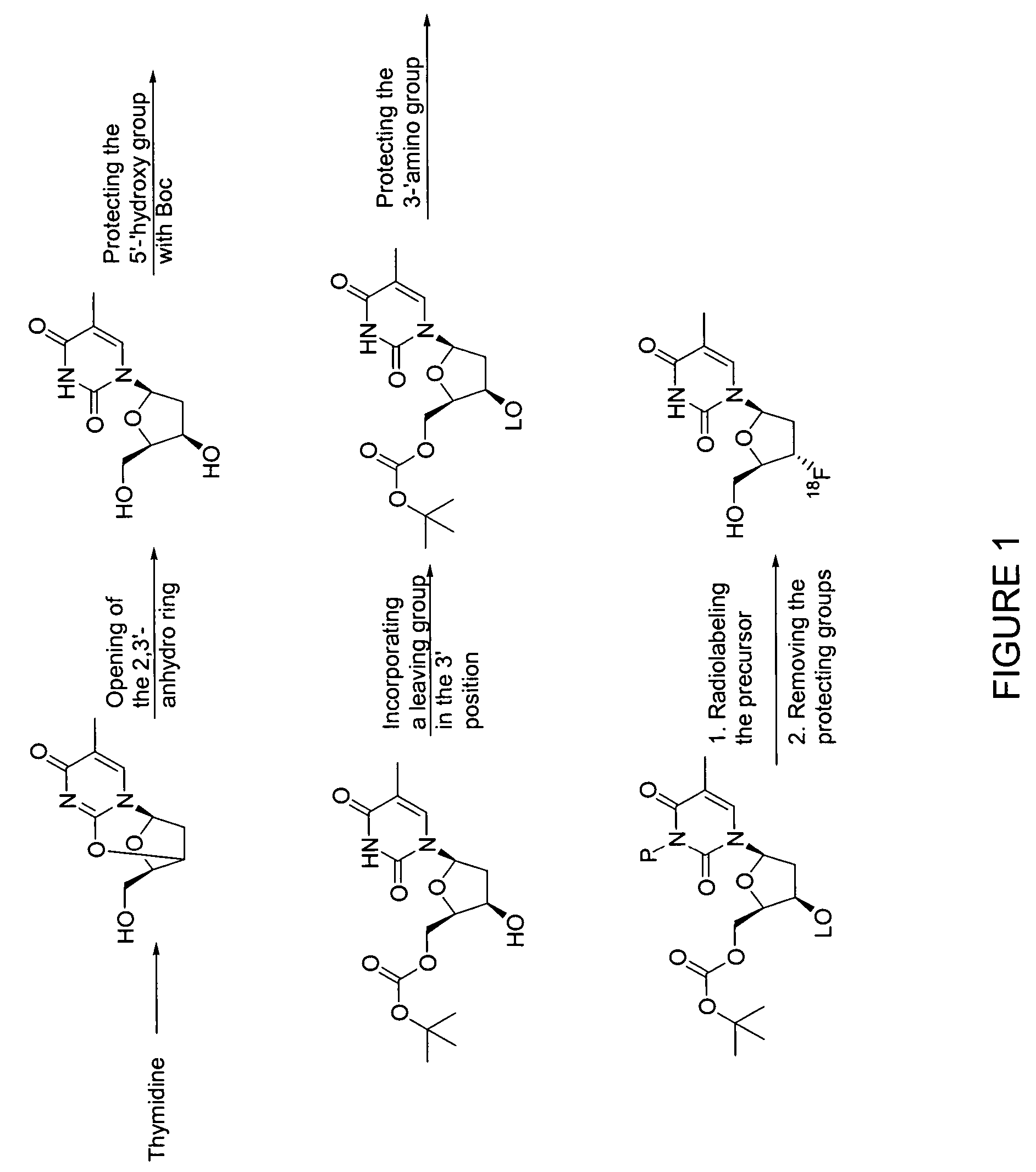 Method for preparing radiolabeled thymidine having low chromophoric byproducts