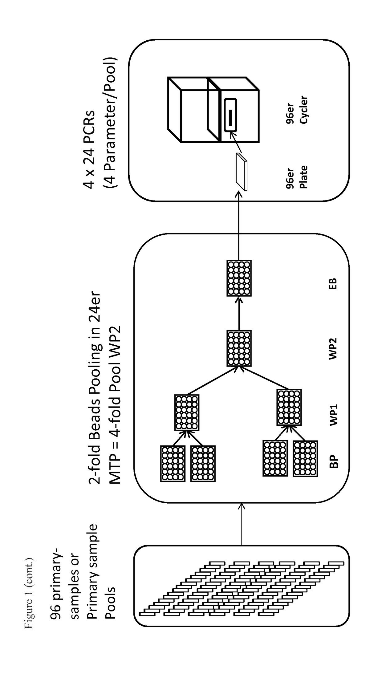 Method and apparatus for automated processing of pooled samples