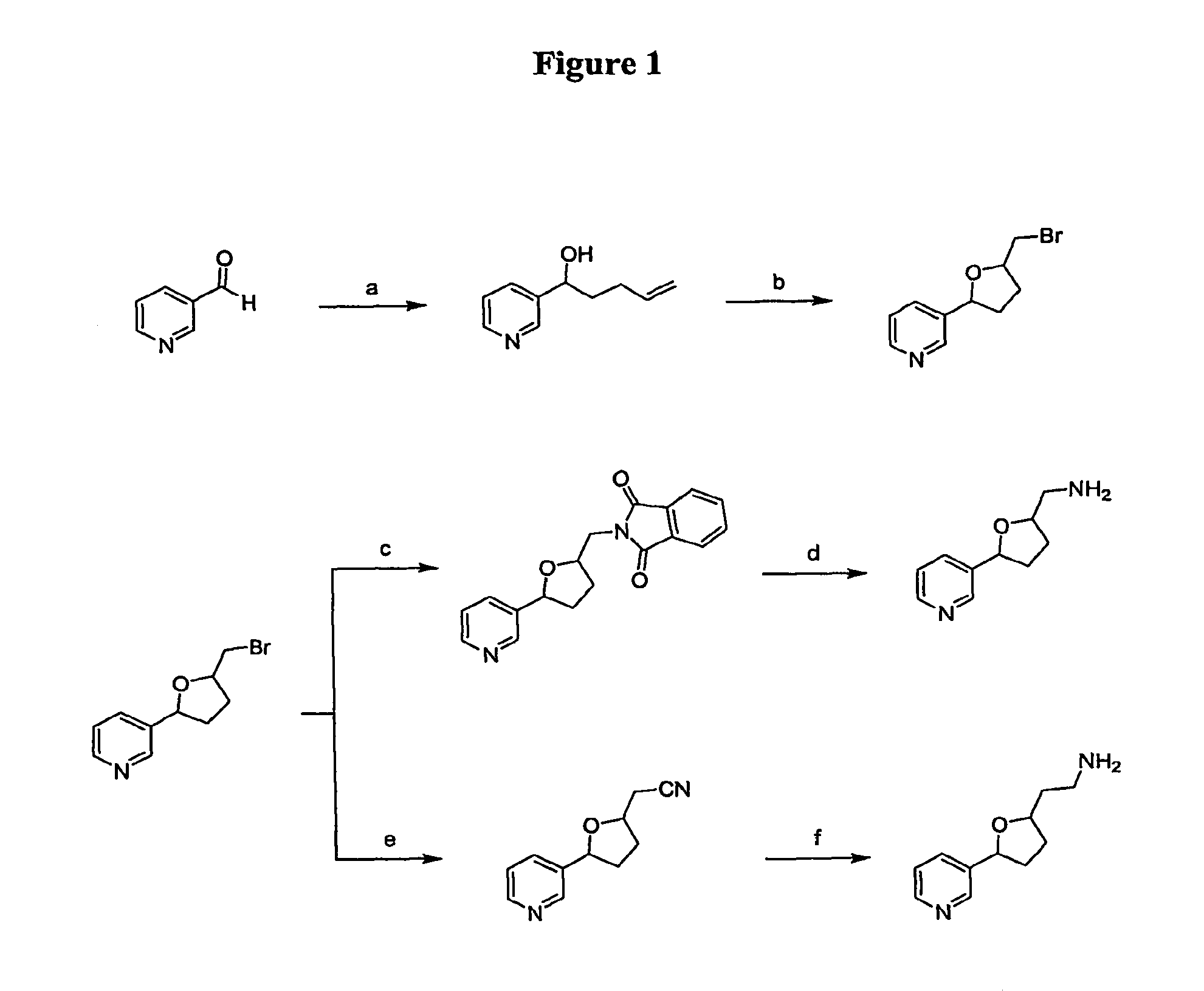 Synthetic compounds and derivatives as modulators of smoking or nicotine ingestion and lung cancer