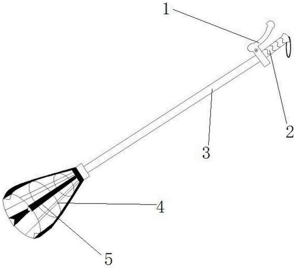 A device for collecting fruit