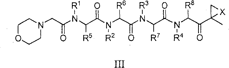 Compounds for proteasome enzyme inhibition