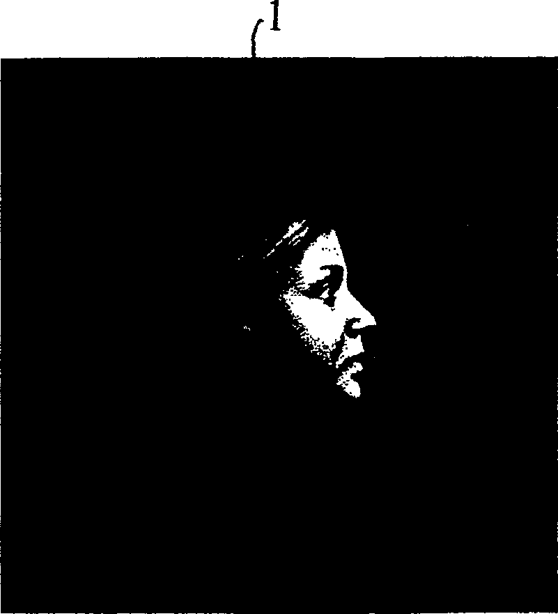 Method for making overprint water marks