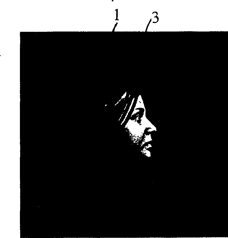 Method for making overprint water marks