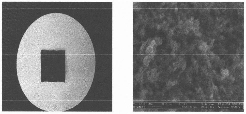 Preparation method of coo@carbon nanotube thin film with her/oer bifunctional catalytic activity