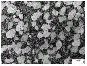 Method for obtaining tri-modal microstructure in dual-phase titanium alloy through furnace cooling