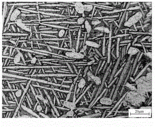 Method for obtaining tri-modal microstructure in dual-phase titanium alloy through furnace cooling