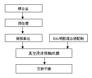 Medical magnesium alloy surface degradable composite protective film layer and preparation method thereof