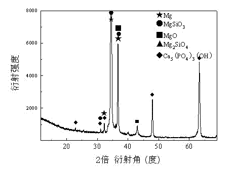 Medical magnesium alloy surface degradable composite protective film layer and preparation method thereof