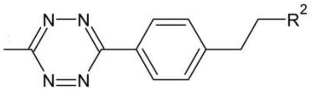 Sequencing joint, construction method, nano-hole library building kit and application