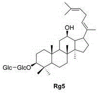 Application of ginsenoside Rg5 in preparation of drug for preventing acute kidney injury