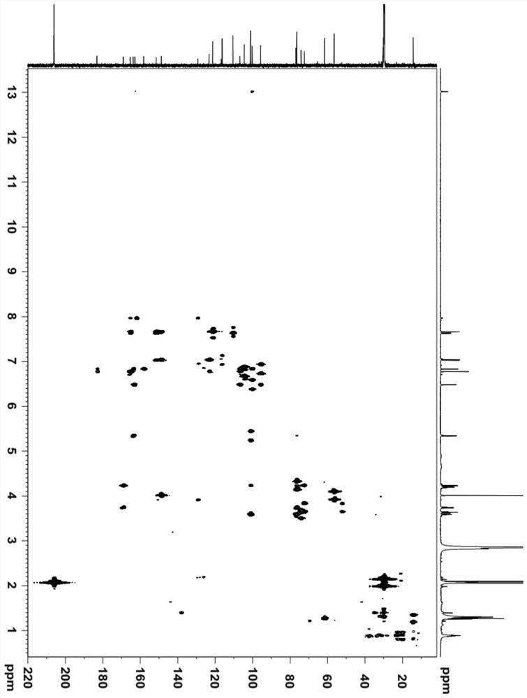 Golden eriodictine-7-o-β-d-glucuronic acid ethyl ester and its extraction method and application