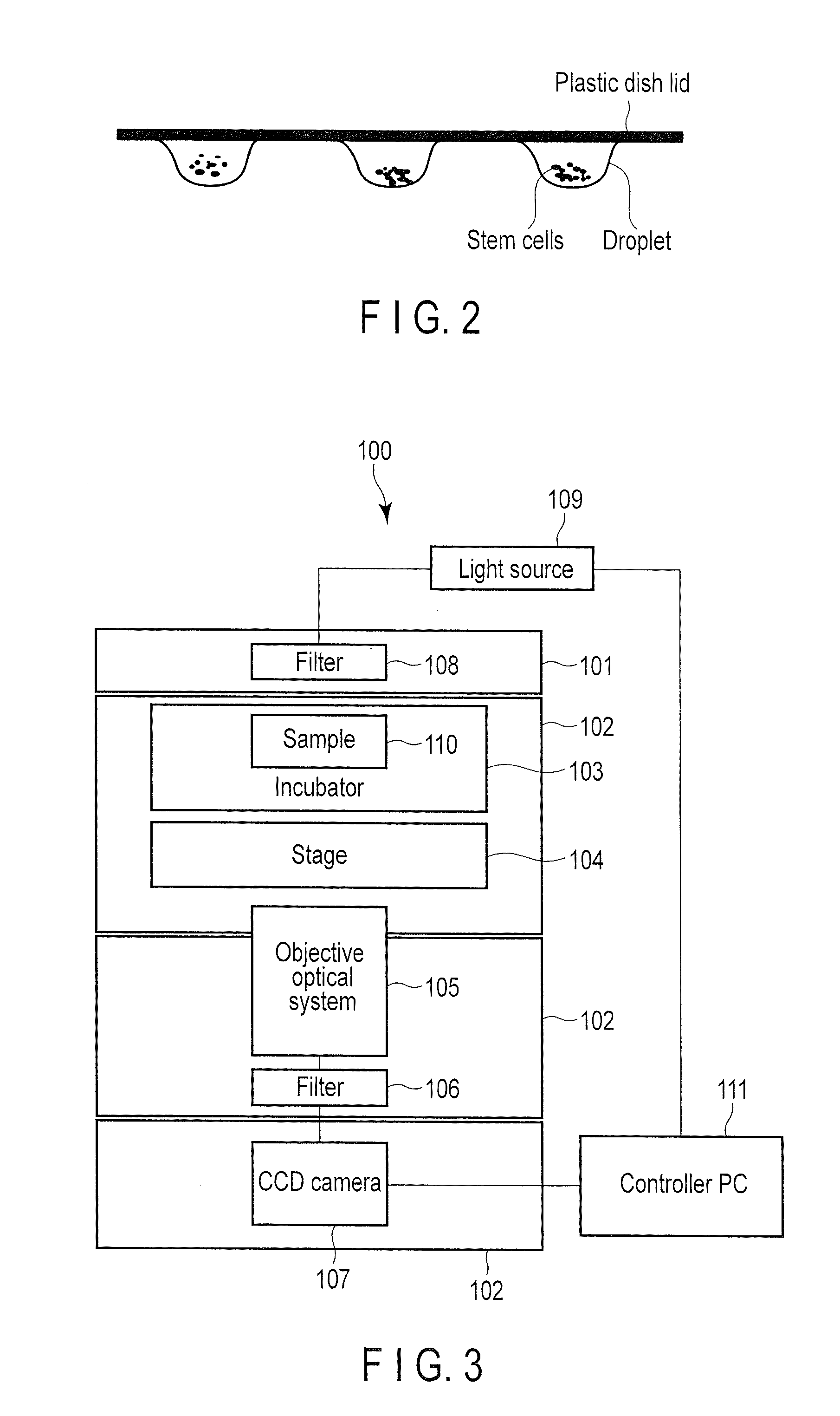 Method for monitoring state of differentiation in stem cell