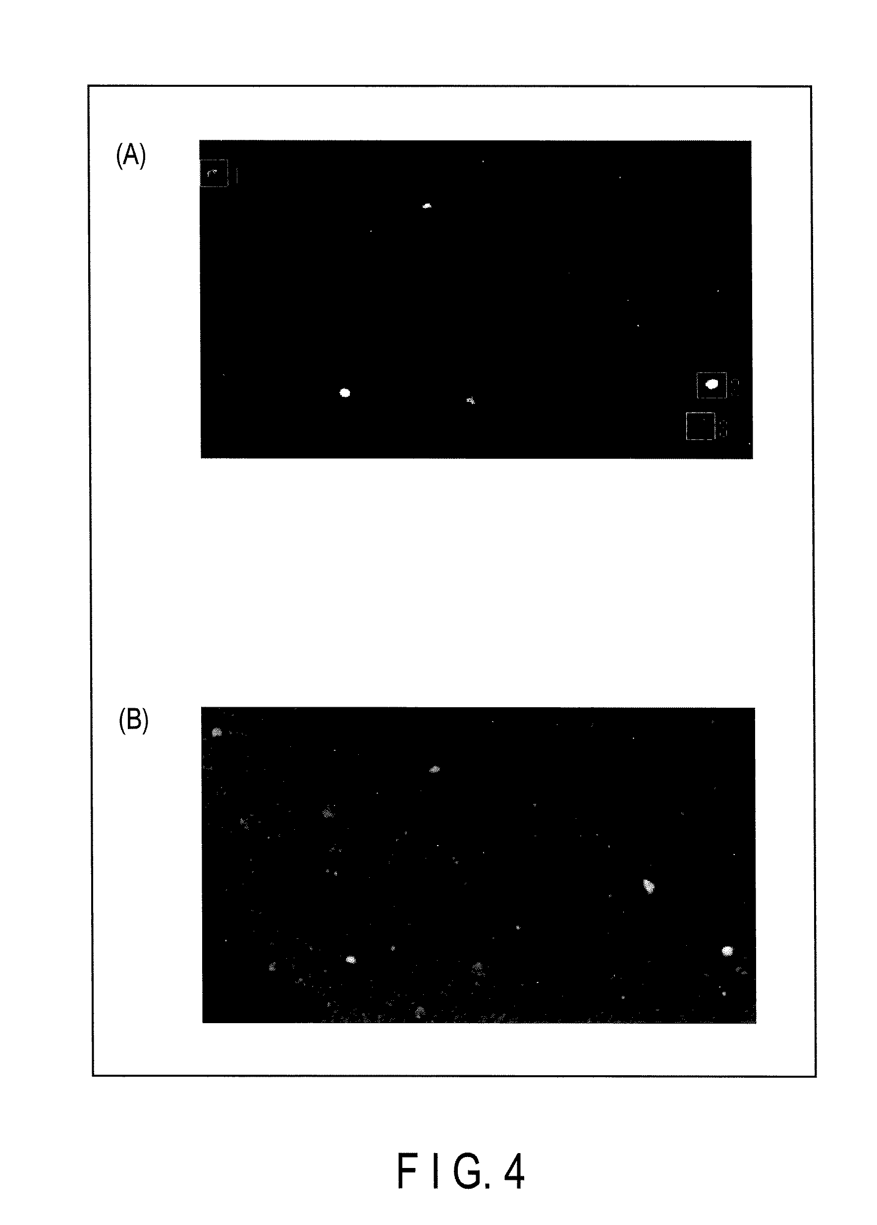 Method for monitoring state of differentiation in stem cell