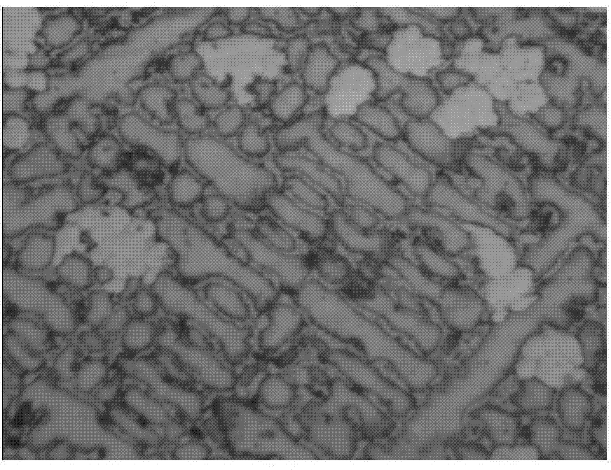 High temperature oxidation and heat resistant copper-nickel-based alloy