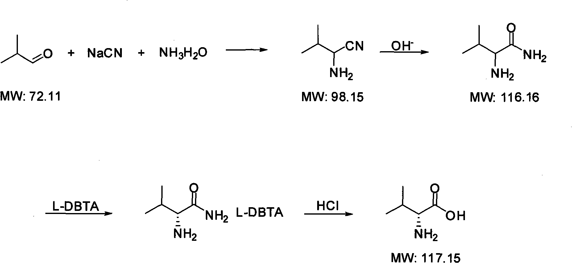 Method for synthesizing D-valine