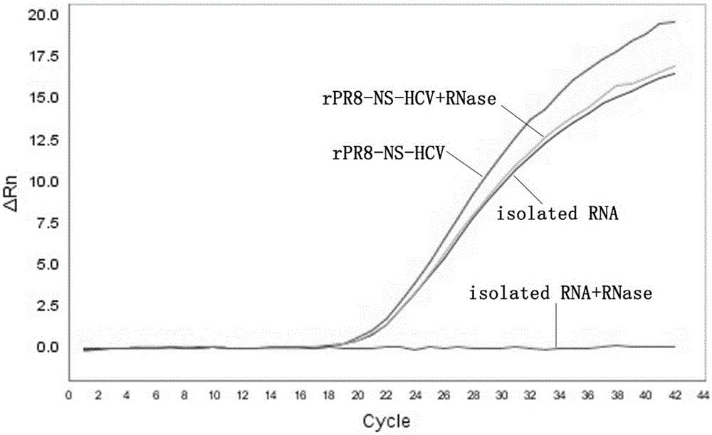 Influenza virus carried HCV nucleic acid test quality control product and preparation method thereof