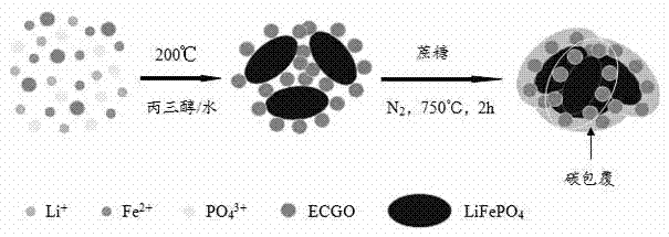 Lithium iron phosphate anode materials of three-dimensional conductive network structure and preparation method thereof