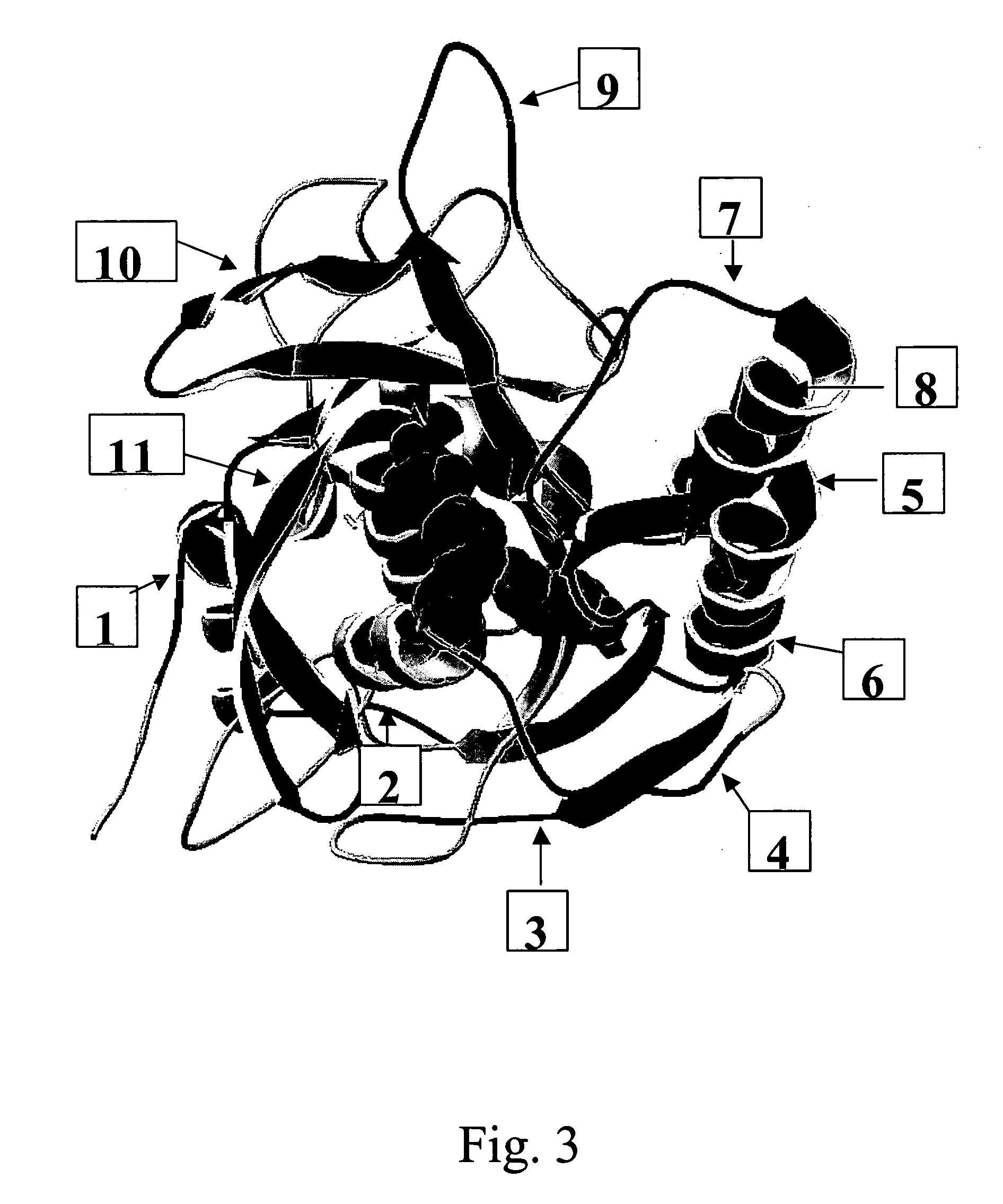 Biological entities and the pharmaceutical and diagnostic use thereof