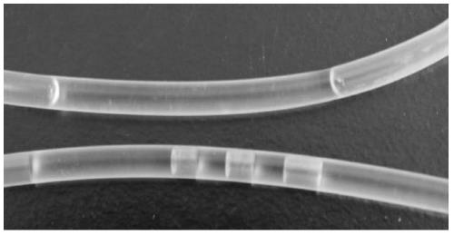 Application of Lysozyme Two-Dimensional Nanofilms as Antibacterial Materials