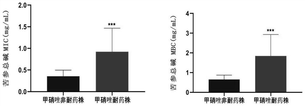 Application of sophocarpidine in preparation of medicine for treating bacterial vaginosis