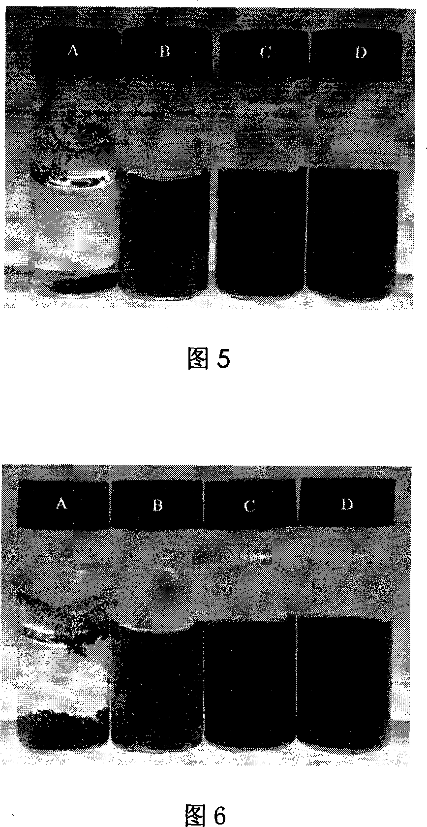 Water soluble nano tube of grafting phosphorylcholine and preparing method