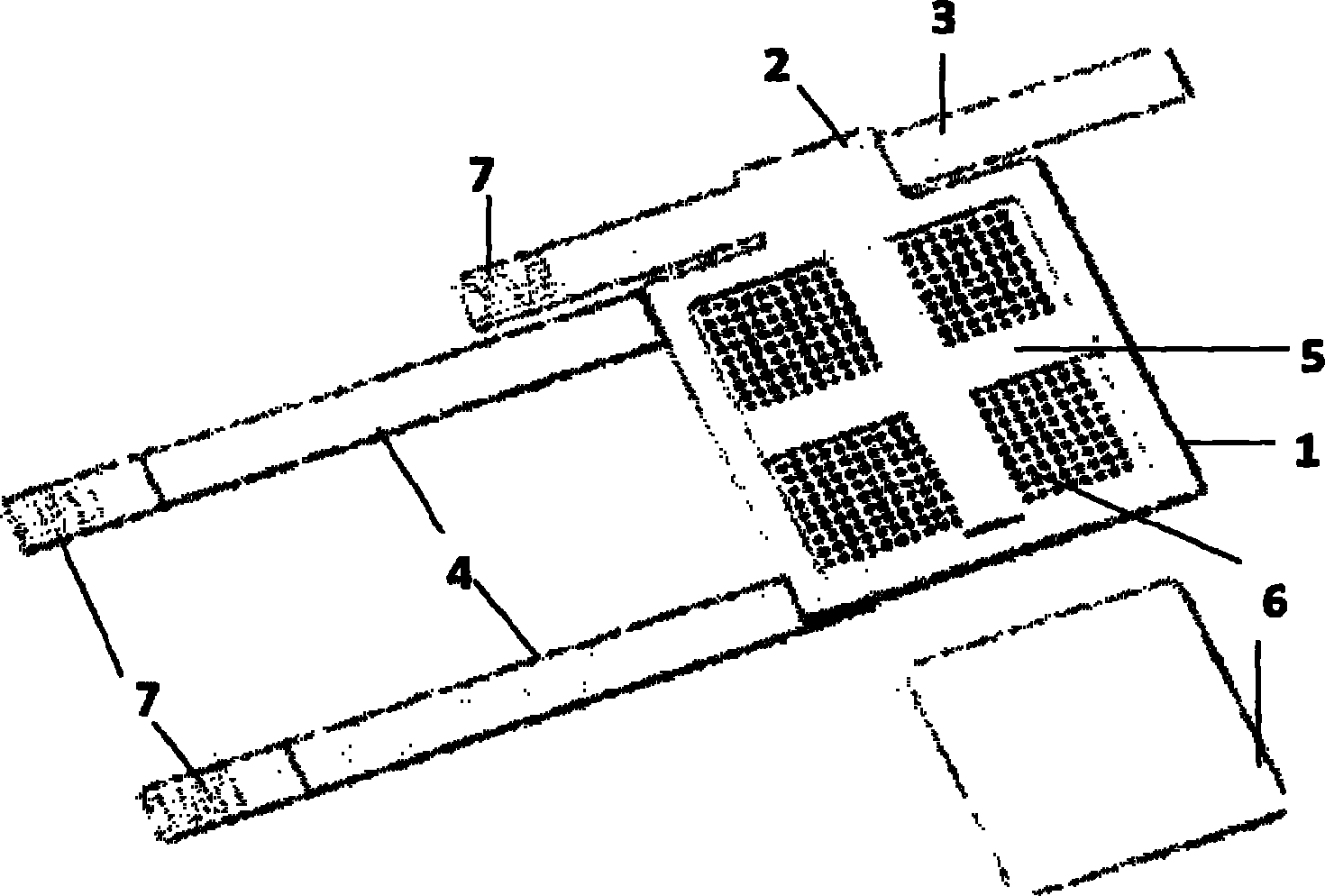 Local drug delivery (contamination) restraining belt for rats