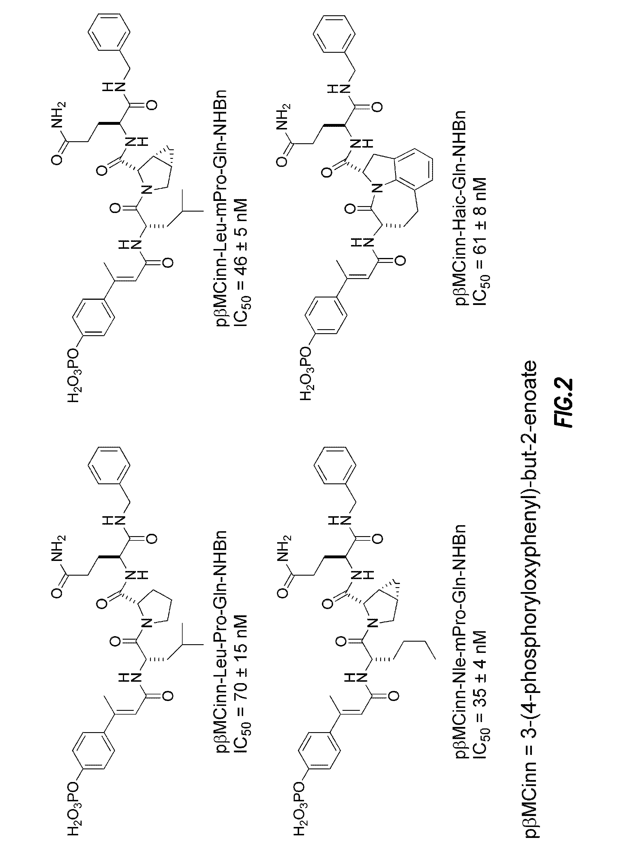 Inhibitors of STAT3 and uses thereof