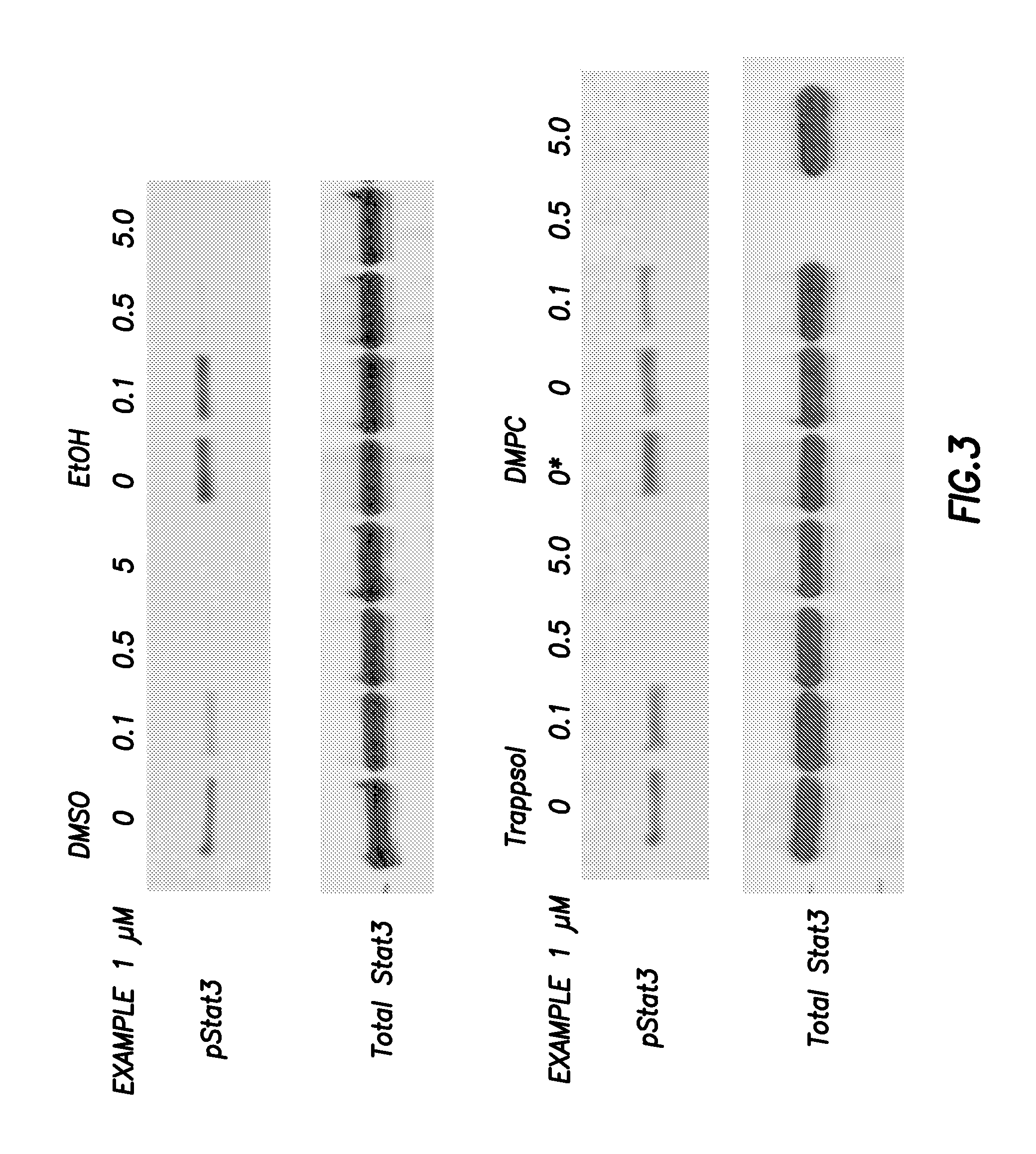 Inhibitors of STAT3 and uses thereof