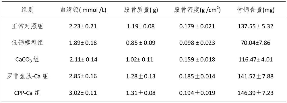 Tilapia calcium ion binding peptide as well as preparation method and application thereof